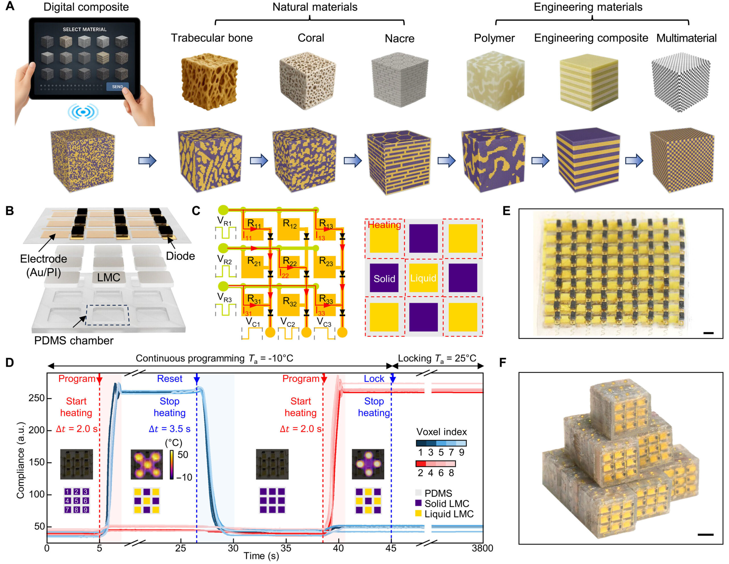 programmable scaled